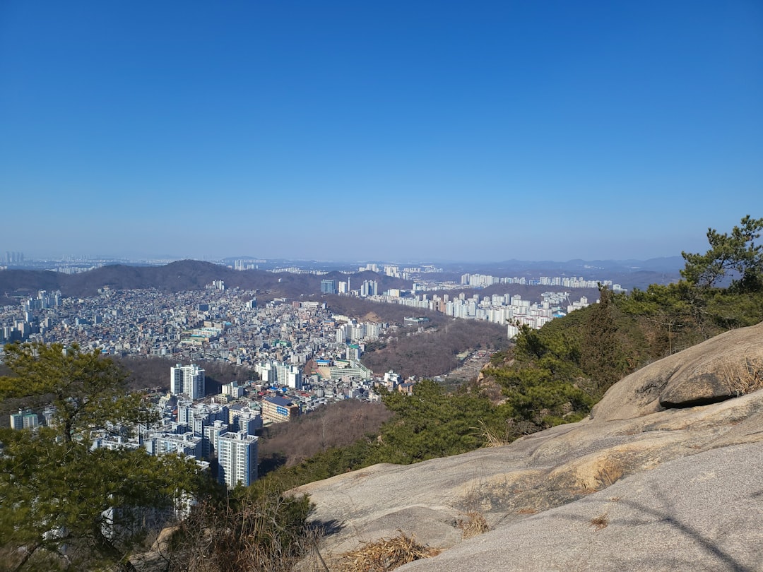 쿠팡리뷰대행 참고 이미지 2