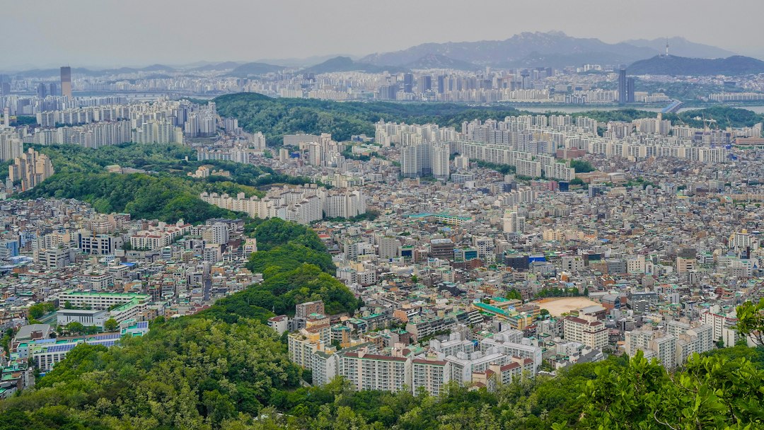 영수증리뷰 참고 이미지 2